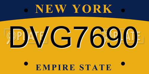 DVG7690 New York License Plate