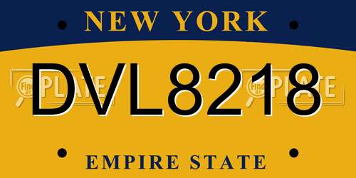 DVL8218 New York License Plate