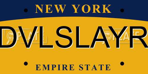 DVLSLAYR New York License Plate