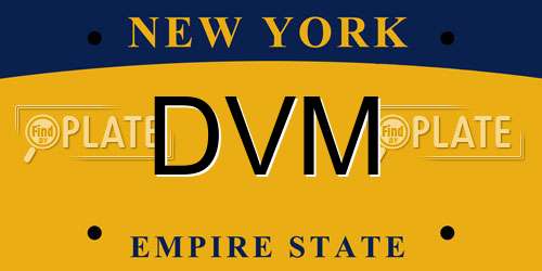 DVM New York License Plate