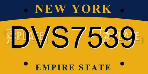 DVS7539 New York License Plate