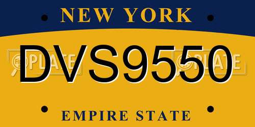 DVS9550 New York License Plate