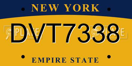 DVT7338 New York License Plate