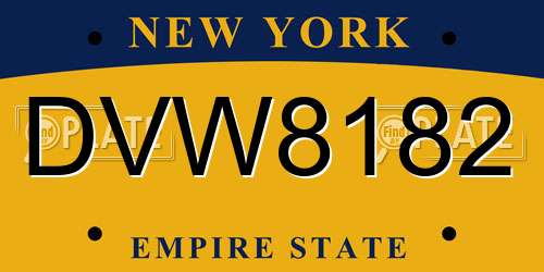 DVW8182 New York License Plate