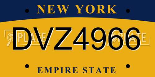 DVZ4966 New York License Plate