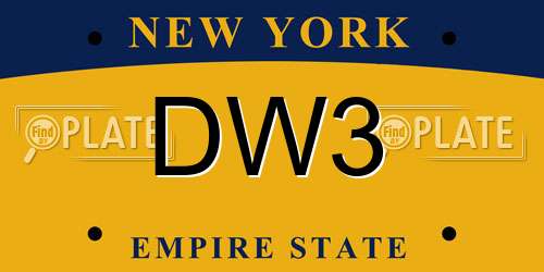 DW3 New York License Plate