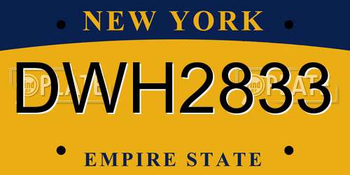 DWH2833 New York License Plate