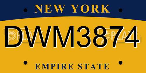 DWM3874 New York License Plate