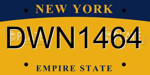 DWN1464 New York License Plate