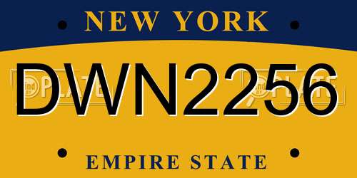 DWN2256 New York License Plate