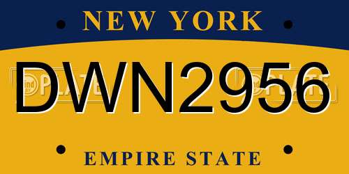 DWN2956 New York License Plate
