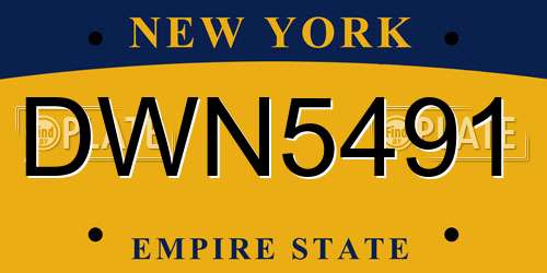 DWN5491 New York License Plate