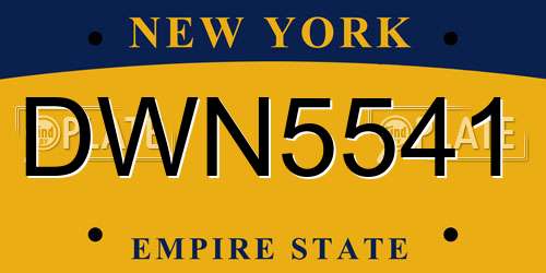DWN5541 New York License Plate