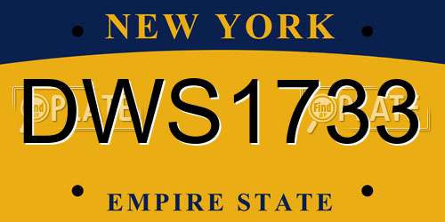 DWS1733 New York License Plate