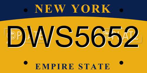 DWS5652 New York License Plate