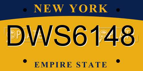 DWS6148 New York License Plate