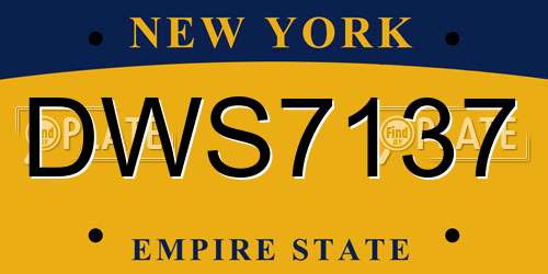 DWS7137 New York License Plate