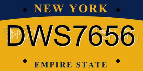 DWS7656 New York License Plate