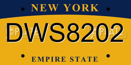 DWS8202 New York License Plate