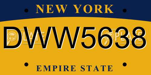 DWW5638 New York License Plate