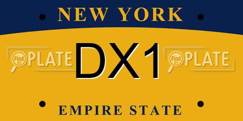 DX1 New York License Plate