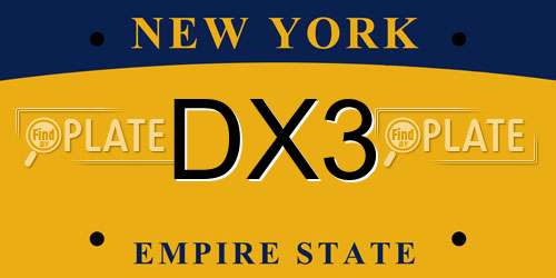 DX3 New York License Plate