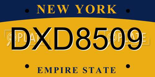 DXD8509 New York License Plate