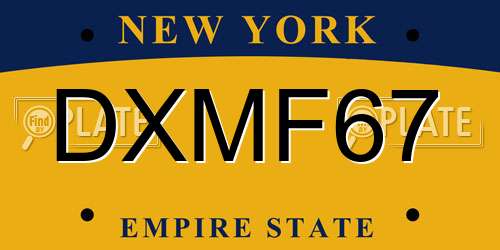 DXMF67 New York License Plate