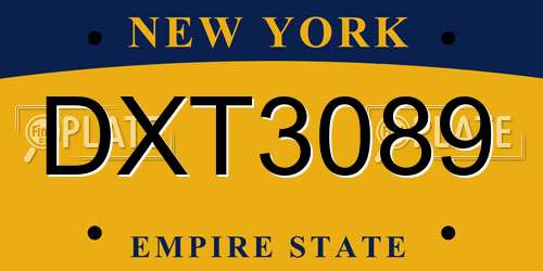 DXT3089 New York License Plate