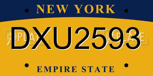 DXU2593 New York License Plate