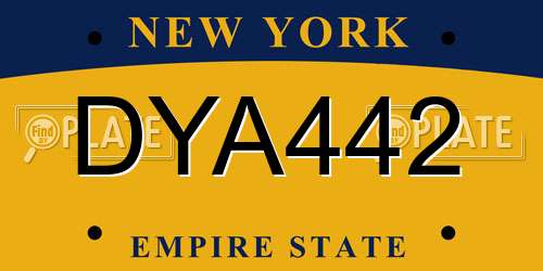 DYA442 New York License Plate