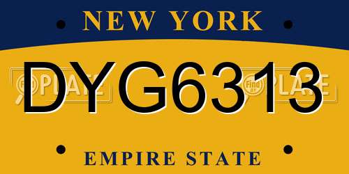 DYG6313 New York License Plate