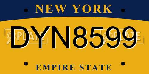 DYN8599 New York License Plate