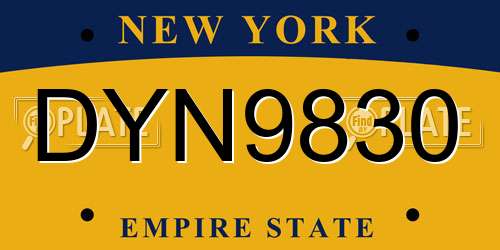 DYN9830 New York License Plate