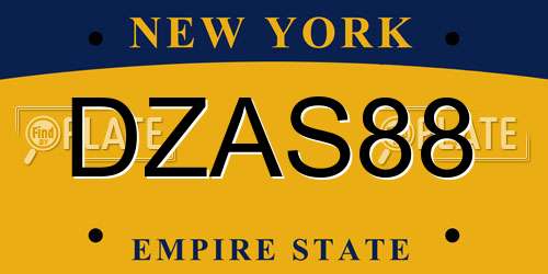 DZAS88 New York License Plate
