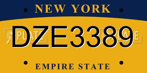 DZE3389 New York License Plate