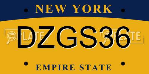DZGS36 New York License Plate