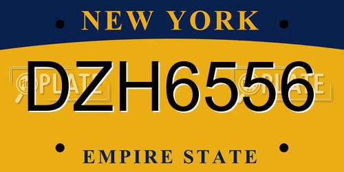 DZH6556 New York License Plate