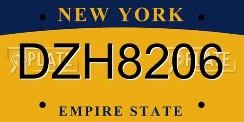 DZH8206 New York License Plate