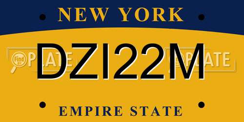 DZI22M New York License Plate
