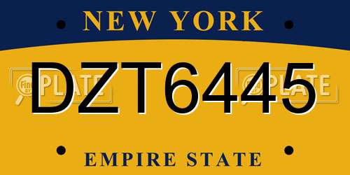 DZT6445 New York License Plate