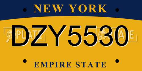 DZY5530 New York License Plate
