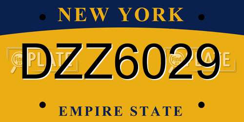 DZZ6029 New York License Plate