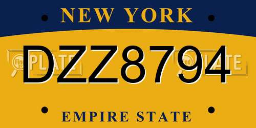 DZZ8794 New York License Plate