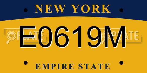E0619M New York License Plate