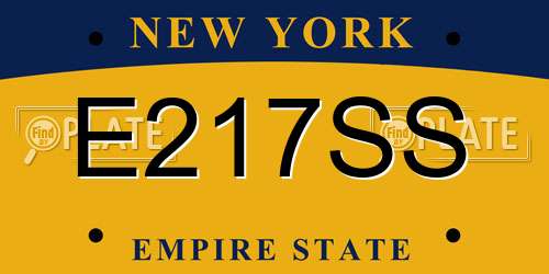 E217SS New York License Plate