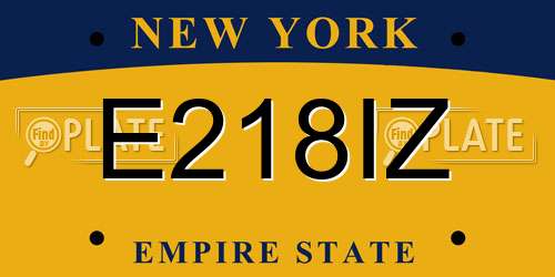 E218IZ New York License Plate