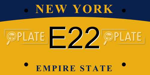E22 New York License Plate