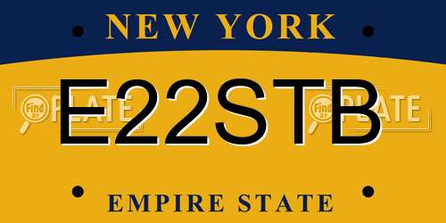 E22STB New York License Plate
