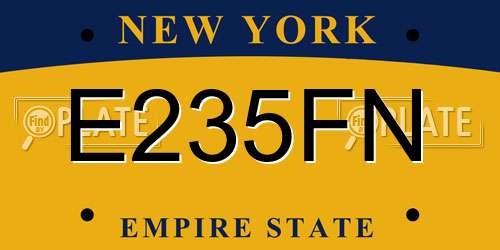 E235FN New York License Plate